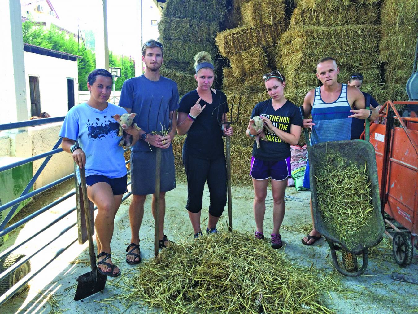 Rector and her group of Adventures in Missions participants pitch hay in Albania.