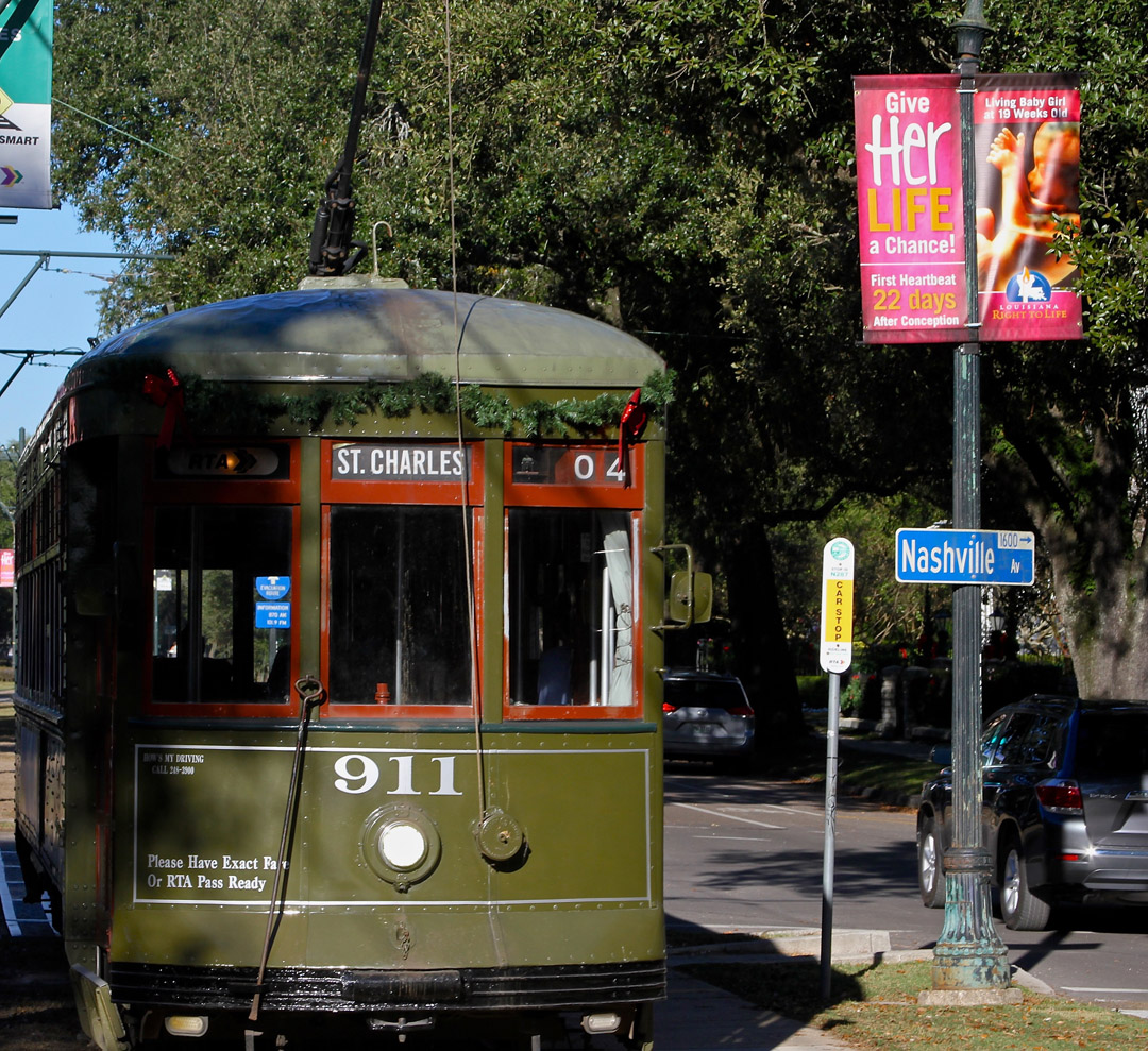 ProLife banners line portion of St. Charles Avenue in New Orleans